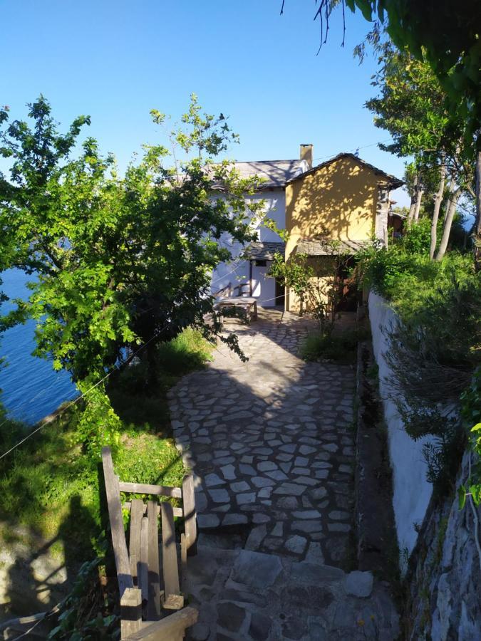 Triple Studio Room With The Most Beatifull View In Mylopotamos 桑加拉达 外观 照片